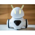 Photon Robot for Education