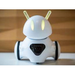 Photon Robot for Education